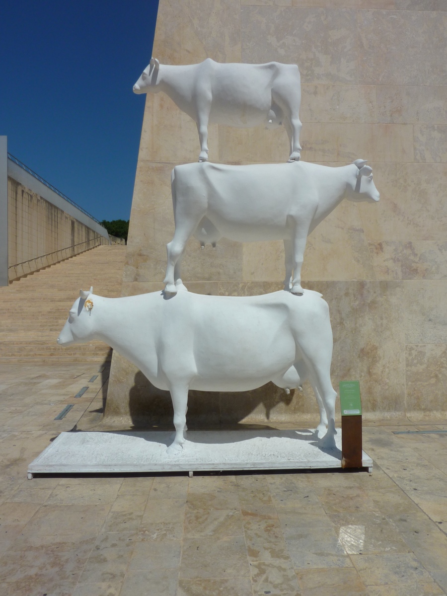 Image result for valletta three cows